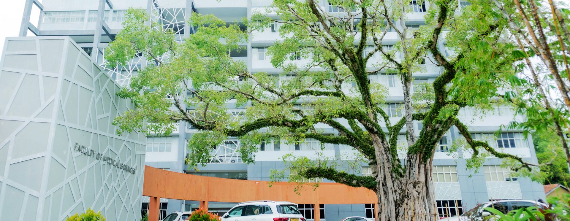 University of Sri Jayawardenapura