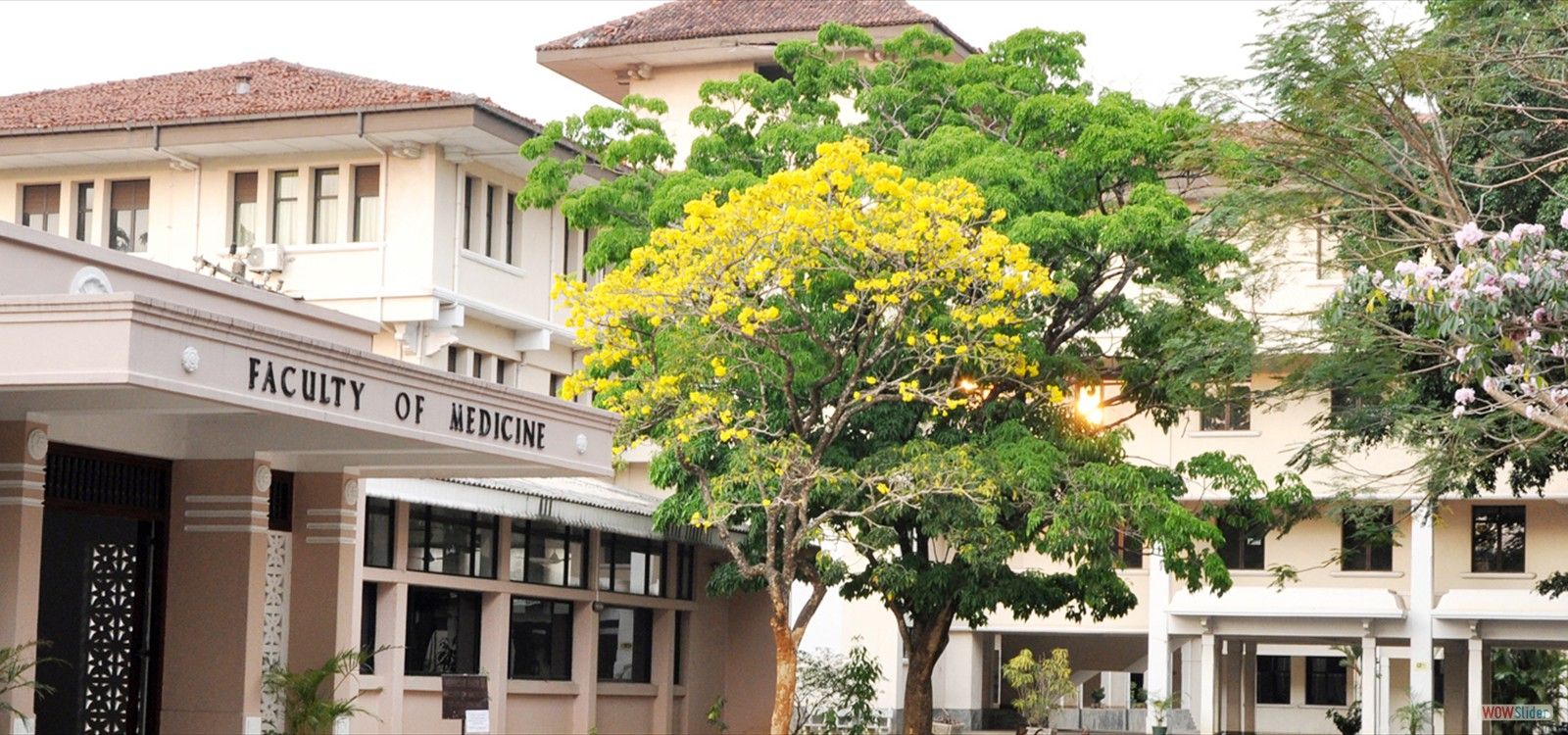 University of Peradeniya